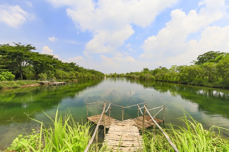 Hồ thiên nga thơ mộng, xanh mát mang đến vẻ đẹp yên bình cho E City Tân Đức